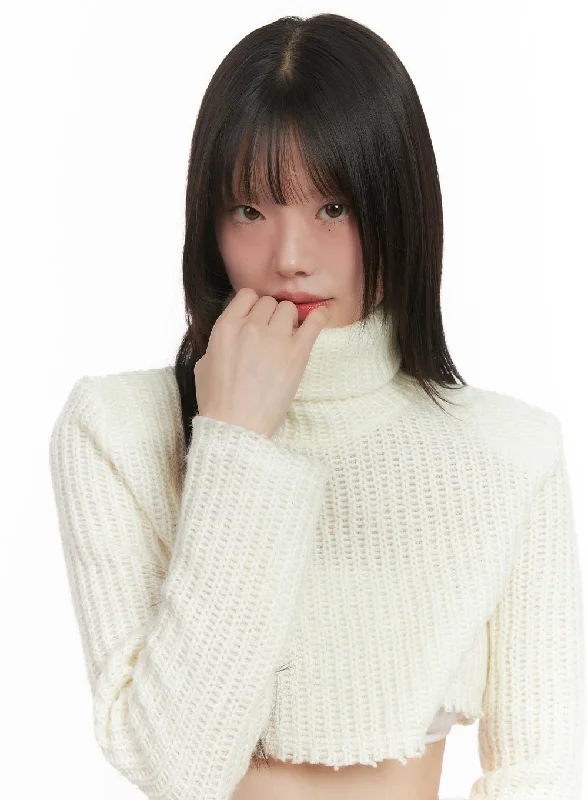 Turtle Neck Cropped Sweater CD426